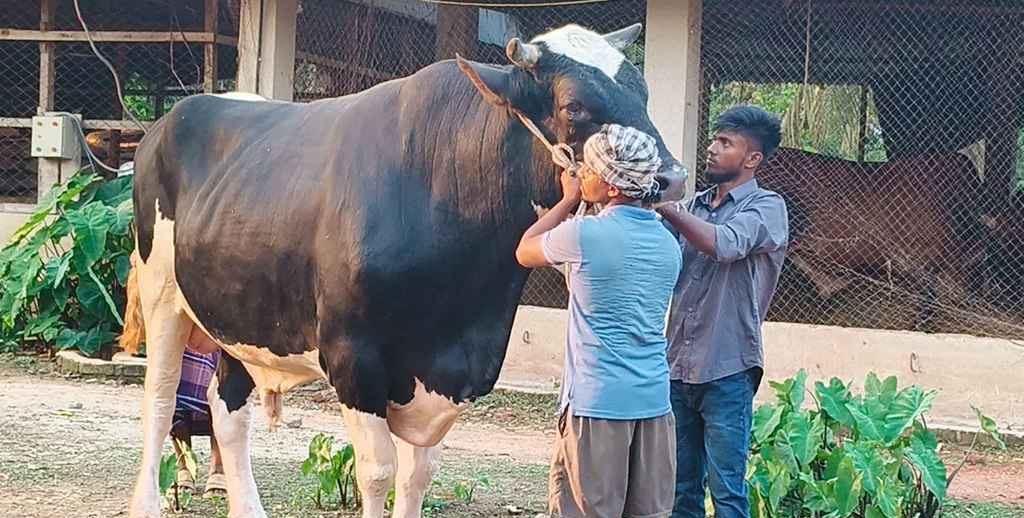সুগন্ধি আতপ চালের ভাত খেয়ে পেট ভরে সম্রাটের