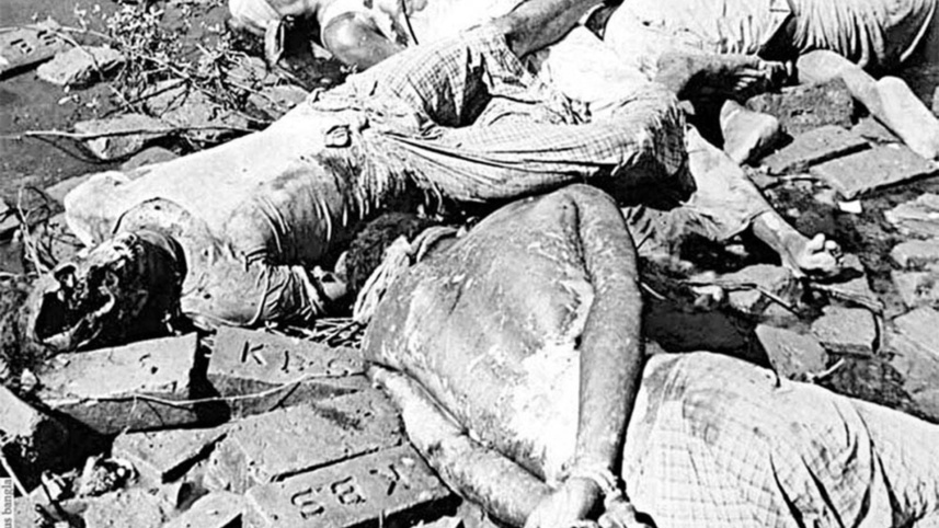 একাত্তরের হত্যাযজ্ঞকে ‘গণহত্যা’ স্বীকৃতির দাবিতে মার্কিন কংগ্রেসে প্রস্তাব