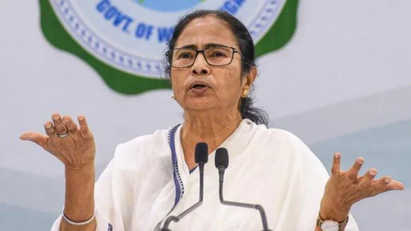 পশ্চিমবঙ্গে তৃণমূলের ভরাডুবি কেন, কী বলছেন বিশ্লেষকেরা